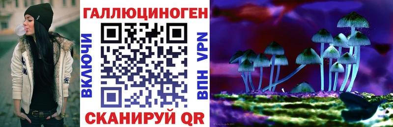 Галлюциногенные грибы MAGIC MUSHROOMS  купить наркотик  Бронницы 